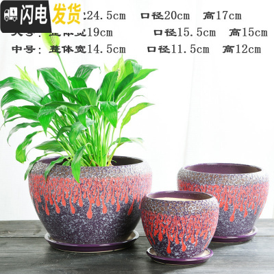 三维工匠加厚花盆陶瓷大号特大号带托盘绿萝盆景家用兰花多肉花盆 S1CZ-紫配红-单个 中等花盆容器