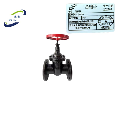 悉金 闸板阀 XJ - DN50 个