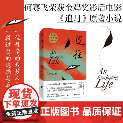 过往 艾伟第八届鲁迅文学奖获奖作品 一个另类母亲的感人故事 何赛飞袁文康主演电影追月原著小说当代文学散文小说书籍正版