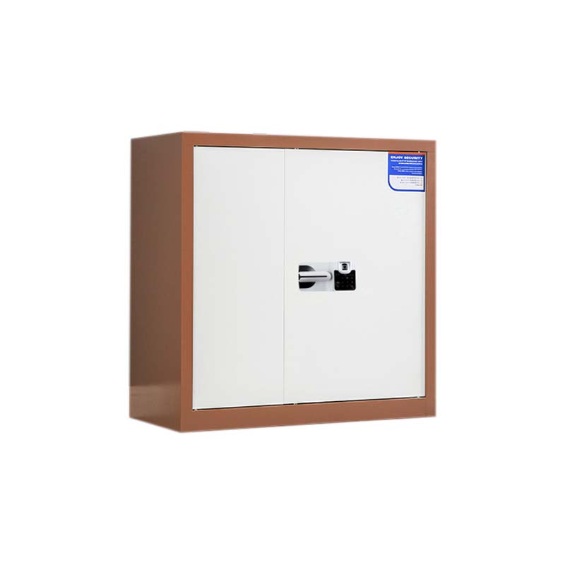 乙壬保密柜财务档案柜文件柜办公室资料储物柜保险柜电子密码国保锁矮柜咖白-国保指纹锁