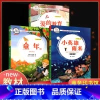 六年级上[全套3册] [正版]快乐读书吧六年级上册全套 小英雄雨来童年爱的教育 人教版小学生6上拓展阅读课外书籍经典儿童