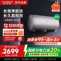AO史密斯电热水器60升 国家补贴 80吨长效净水洗 免清洗 3kW变频速热 金圭特护 短款 E60ED6