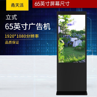 甬天派 TOPIT-T19LFA065-1 立式65英寸 广告机