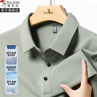 啄木鸟2025春秋季新款商务休闲长袖polo衫男士中年翻领上衣服