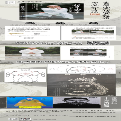 [M]赵堡太极拳拳理拳法秘笈-9787530497449