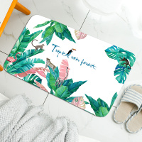 ins北欧风格地垫进户垫脚垫家用厕所卫生间吸水地毯防滑