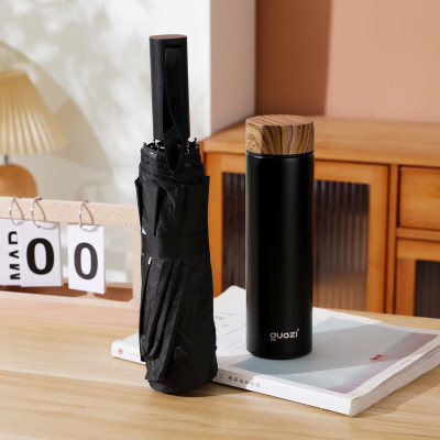 果兹 森慕商务套装GZ-B67 容量:480ml /套