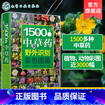 [正版]1500种中草药野外识别彩色图鉴 中草药书入门医学书籍 本草纲目 医学自学书籍中草药大全常用中药养生功效药方健