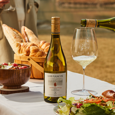 拉菲罗斯柴尔德巴斯克酒庄霞多丽干白葡萄酒750ml