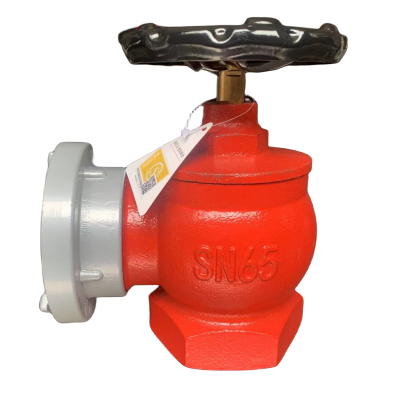 祥雨 室内消火栓 SN65