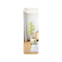 翌嘉YJ-CYJ-19 全身镜家用家用可移动等身墙面女装店试衣舞蹈化妆落地镜 白色 400*1500