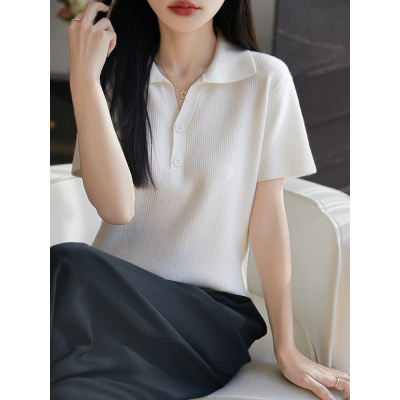 夏季25新款polo领T恤小衫纽扣设计感别致安迪绒短袖针织上衣