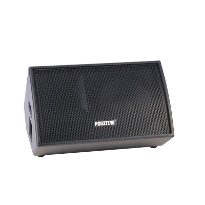 戴阳单15寸返听专业音箱（联系客服发货）