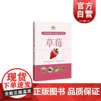 上海市果树全产业链生产技术:草莓 上海科学技术出版社