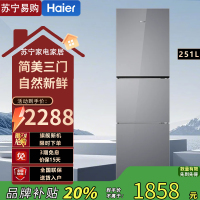 海尔(Haier) BCD-251WGHC3E7AS 251升风冷变频三门冰箱