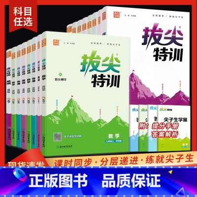 [人教版]语文 九年级上 [正版]2024版通城学典拔尖特训七年级八年级九年级上下册语文数学英语物理人教译林苏科版初一初