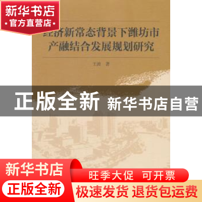 正版 经济新常态背景下潍坊市产融结合发展规划研究 王波 中国社