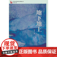 地下地上(中国专业作家作品典藏文库·石钟山卷)