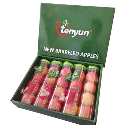 橙心果匠 精选新西兰泰勒苹果 5桶(1.6kg左右)