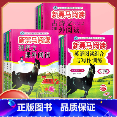 现代文阅读 九年级/初中三年级 [正版]2024新版新黑马阅读 现代文课外阅读 初中七7八8九9年级上下册通用 初中语文