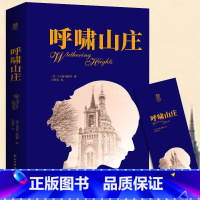 呼啸山庄(中文版) [正版]呼啸山庄 中文版无删减全译本 完整版英艾米莉·勃朗特 著