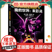 我的世界:末影龙 预计发货05.29