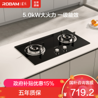 老板(ROBAM) 燃气灶 5.0kW 单灶具 双眼灶 燃气灶台嵌入式 天然气灶JZT-20B1A (天然气)