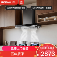 老板(Robam)[星辰系列]烟灶套餐 抽油烟机欧式烟灶23m³大吸力吸油烟机灶具家用燃气灶60A0+20B1A天然气