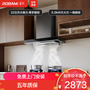 老板(Robam)[星辰系列]烟灶套餐 抽油烟机欧式烟灶23m³大吸力吸油烟机灶具家用燃气灶60A0+20B1A天然气
