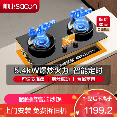 帅康(sacon)3B815燃气灶嵌入式双眼灶5.4kW大火力可调节定时钢化玻璃台嵌两用家用炉具炉灶双灶台式煤气灶液化气