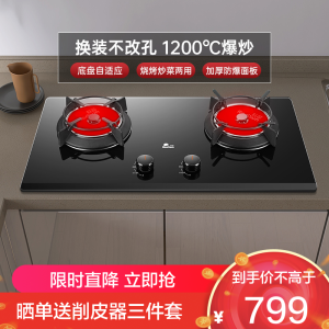 红日(RedSun)红外线燃气灶双灶双眼灶家用定时灶具厚面板换装免改孔烧烤炒菜两用台嵌灶JZT-EX16B(天然气)