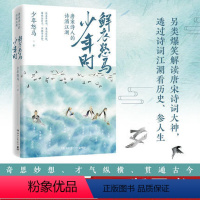 [正版]鲜衣怒马少年时 唐宋诗人的诗酒江湖 少年怒马 三十位诗词大神唐宋书法及绘画文学中国古诗词鉴赏书籍