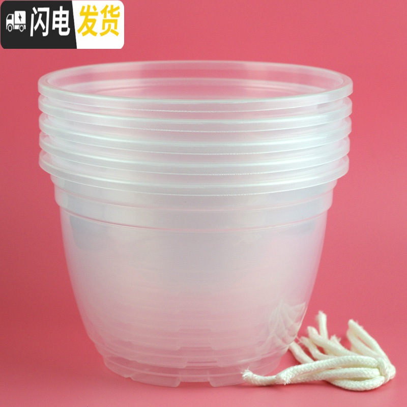 三维工匠绿萝花盆塑料透明自动吸水懒人储水盆套接水培免浇水养蓄水底座厚 透明罩5个 17CM花盆容器