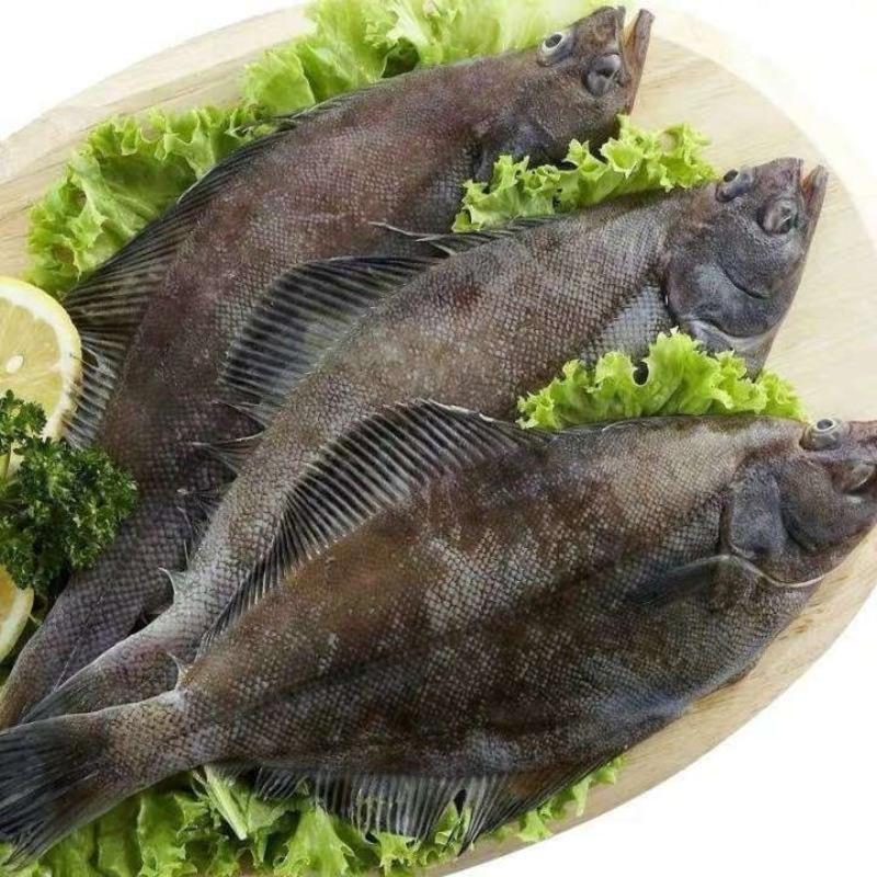 赛卡伊 深海鲽鱼比目鱼鱼整条带头新鲜营养海鲜冷冻水产批发价 每条