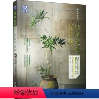 [正版]绿植之美 80种文艺感观叶植物挑选·装饰·养护 日本花植旅人(TRANSHIP) 著 佟凡 译 生活休闲