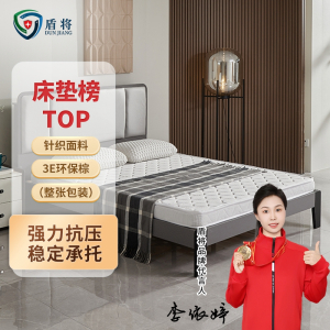 盾将 弹簧3E椰棕床垫 DJ-468S-CD015
