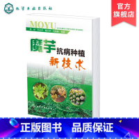 [正版]魔芋抗病种植新技术 周燚 魔芋生长习性 魔芋病虫害防治策略 魔芋根腐病防控策略 魔芋种植品种改良策略 魔芋种植