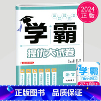 语文 七年级上册 人教版 初中通用 [正版]2024新版学霸提优大试卷年级下册八年级九年级上册语文数学英语化学物理人教苏