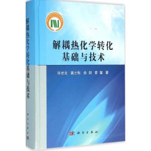 解耦热化学转化基础与技术