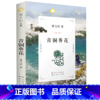 青铜葵花 [正版]青铜葵花曹文轩完整版原版系列儿童文学8-12岁小学生四年级下册课外书 四五六年级课外阅读书籍读物 人民