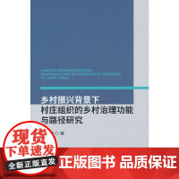乡村振兴背景下村庄组织的乡村治理功能与路径研究