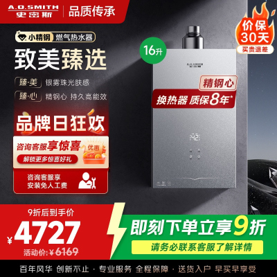 AO史密斯新品小体积16升精钢燃气热水器[小精钢EC5] 持久恒温 天然气 JSQ31-EC5