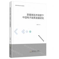 [N]新媒体技术背景下中国电子政务发展研究-9787563832712
