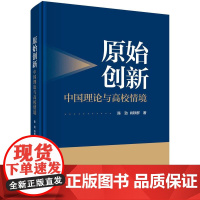 原始创新:中国理论与高校情境