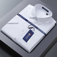 啄木鸟纯棉牛津纺白色男士衬衫短袖2025夏季免烫工装爸爸长袖衬衣