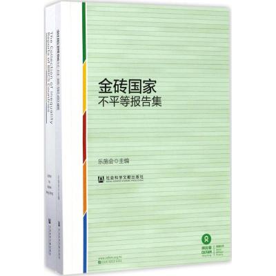 金砖国家不平等报告集