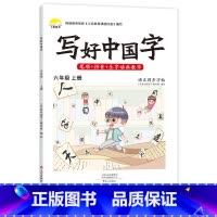 六年级上册 [正版]抖音同款小学生写好中国字一年级字帖练字二年级上册练字帖三四五六年级下册语文同步字帖人教版正楷临摹硬笔
