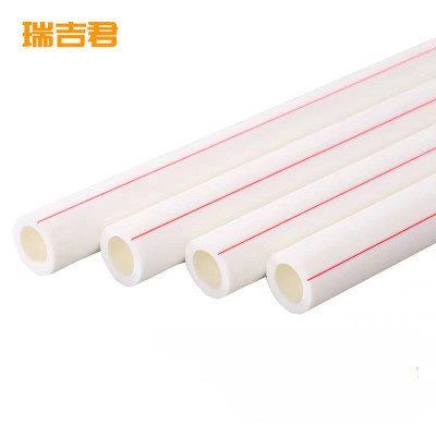 瑞吉君 PPR管 40mm 单位:米