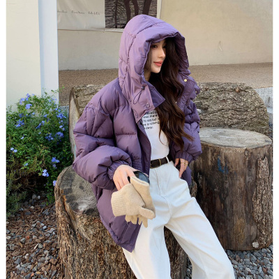 [3件8.5折586.4元,叠加优惠券]唐狮甜美短款羽绒服女新款冬季粉色连帽面包服设计感小众dx