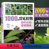 [正版]植物图鉴1000种常见植物野外识别速查图鉴 图解中草药大全 家庭书籍野外识别原植物鉴别图册中国常用手册 图识别